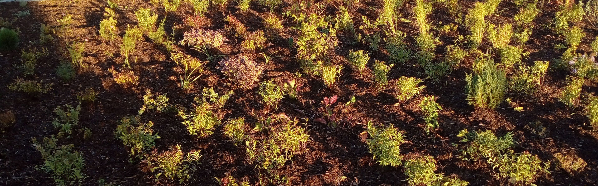 Header Gachenbach (2023-009)